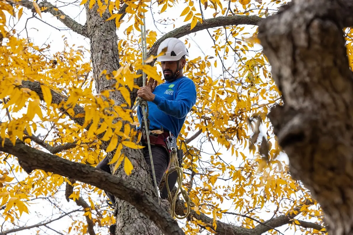 Skilled Storm Damage Cleanup crew working in Byesville